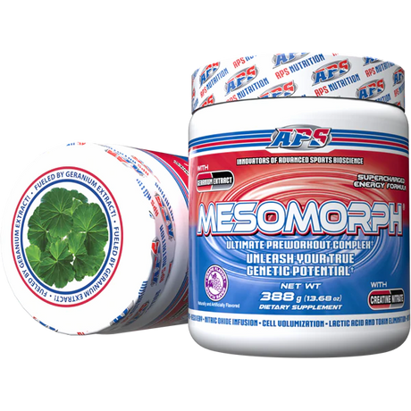 Mesomorph V3