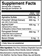 1st Phorm Primal Pack